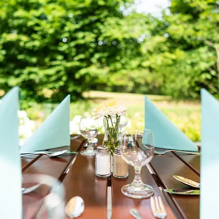 Dreibrunnen Gastehaus Im Luisenpark Pensjonat 3*