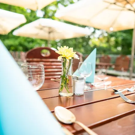 Penzion Dreibrunnen Gastehaus Im Luisenpark Erfurt