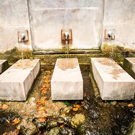 Dreibrunnen Gastehaus Im Luisenpark 3* Erfurt