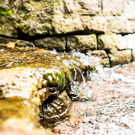 Dreibrunnen Gastehaus Im Luisenpark