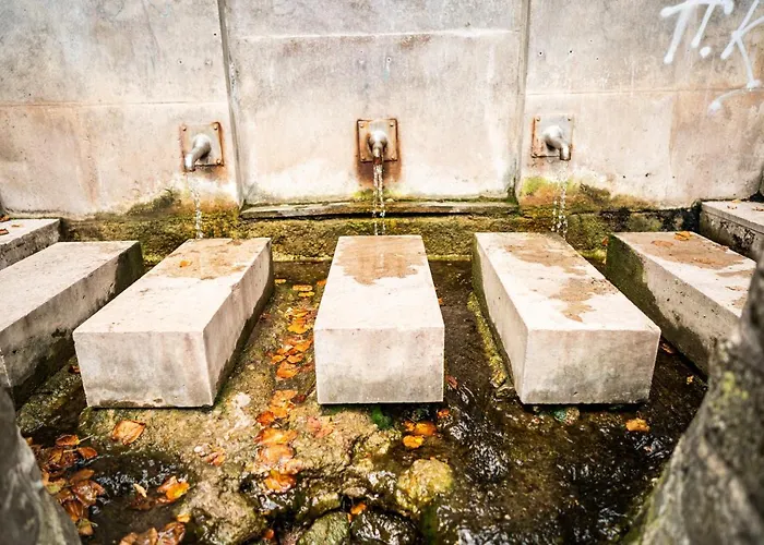 Dreibrunnen Gastehaus Im Luisenpark 3* Erfurt