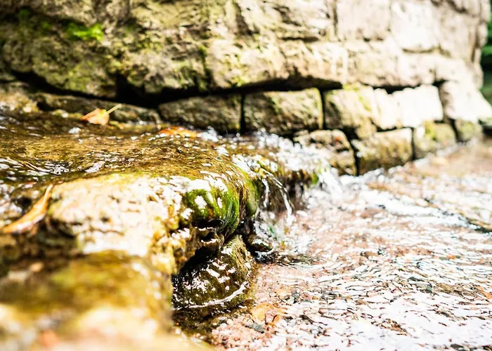 Dreibrunnen Gastehaus Im Luisenpark